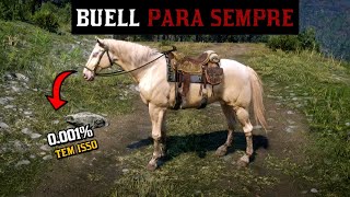 Como Ficar Com o Cavalo Buell Para SEMPRE  RDR2 [upl. by Anitnerolf]