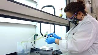 Synthesis of Phenacetin part 1 setup and IR of starting material [upl. by Shorter]