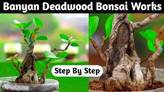 Deadwood Bonsai Making At Home  Timelapse [upl. by Nosac283]