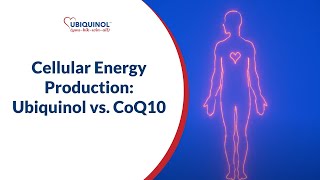 Cellular Energy Production Ubiquinol vs CoQ10 [upl. by Odette83]