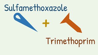 Sulfamethoxazole  Trimethoprim  Cotrimoxazole [upl. by Enilada]