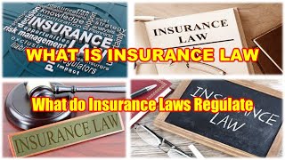 What is Insurance law  Need Of Insurance Lawyers  What do Insurance Laws Regulate [upl. by Goldi867]