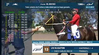 Hipódromo de Azul  Carreras 1 2 y 3  3 de Noviembre 2019 [upl. by Jacobine]