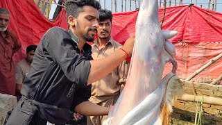 mukammal Bakra banane ka tarika meat catting skills  goat skin remove skill  ADIL qasai 🐐 [upl. by Libbna]