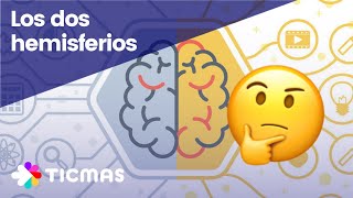 Partes del CEREBRO Hemisferios lóbulos y materia gris [upl. by Kizzie988]