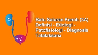 Batu Saluran Kemih Urolithiasis  Definisi Etiologi Patofisiologi Diagnosis Tatalaksana [upl. by Acnalb]