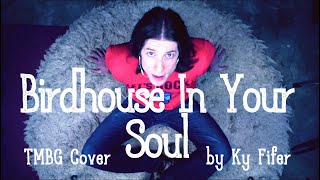 Birdhouse In Your Soul TMBG Cover by Ky Fifer [upl. by Kcirddahc]