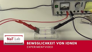 Beweglichkeit von Ionen – Experiment für den Unterricht Chemie [upl. by Eniladam]