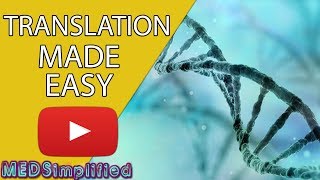 DNA Translation Made Easy [upl. by Fisher]