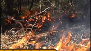 WAREHAM MA Firefighters Battle Large Brush Fire Along Rt 25 020910 [upl. by Neirrad]