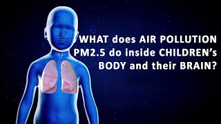 What does Air Pollution PM 25 do inside childrens body and brain English [upl. by Maggy]