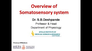 2 Somatosensory system by SBDeshpande [upl. by Nnyleuqcaj529]