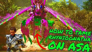 How To FIND and TAME RHYNIOGNATHA on Ark Survival Ascended ASA Tips and Tricks [upl. by Malloy]