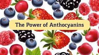 The Power of Anthocyanins Strengthen Your Bones and Reduce Osteoporosis Risk [upl. by Akamahs]