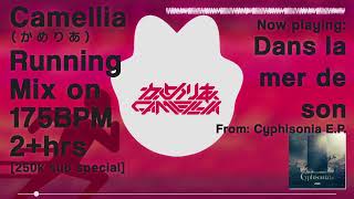 Camelliaかめりあ 2hrs 175BPM mix 250ksub special [upl. by Garbe]