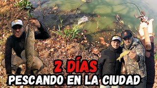 2 DÍAS DE PESCA EN LA CIUDAD 🎣  PESCA SE COSTA 🔥 [upl. by Pammy499]