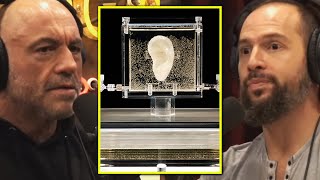 Joe Rogan quotWhats A DNA Printer” [upl. by Sara]