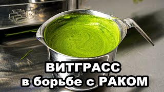 🌿 ВИТГРАСС может помочь в борьбе с раком  Смотрим вместе с вами статью из PabMed [upl. by Moorish929]