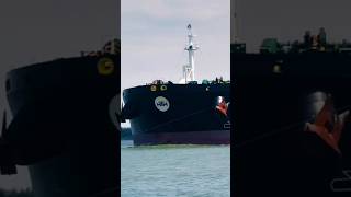 MTM Ship video foryou automobile vessel oiltanker ship travel viralvideo containerships [upl. by Hiett]