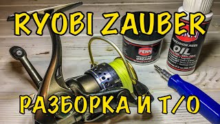 RYOBI ZAUBER  РАЗБОРКА И ТО [upl. by Tore497]