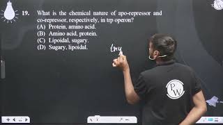 What is the chemical nature of aporepressor and corepressor respectively in trp operonampnbsp [upl. by Hymie]