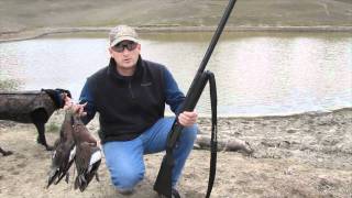 How to Jump Shoot Ducks on a Pond [upl. by Lorn]