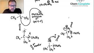 Aldehydes and Ketones  Imine Formation [upl. by Hiller]