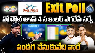 Poll Pulse Survey EXIT POLL SENSATIONAL Reports Over AP Elections 2024  Chandrababu vs YS Jagan [upl. by Navoj]