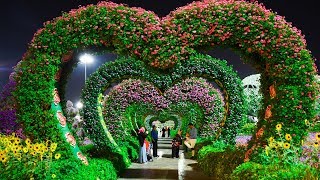 MOST BEAUTIFUL PARK IN DUBAI Zabeel Park Dubai Watch Video of Gorgeous of This ParkDubai [upl. by Adnofal]