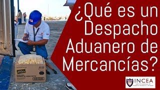 ¿Qué es un Despacho Aduanero de Mercancías [upl. by Haidedej]