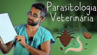 Parasitologia Veterinária  Disciplinas da Vet 9 [upl. by Lauer]