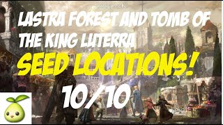 LOST ARK LASTRA FOREST amp TOMB OF THE GREAT KING LUTERRA DUNGENS SEED LOCATIONS [upl. by Fredie613]