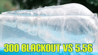 556 vs 300 Blackout 77 gr TMK vs 110 gr TTSX [upl. by Aninaj]