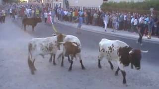 RUEDA Va Toro de la Vendimia 2016 8 de Octubre [upl. by Barthel]