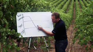 Marquis Vineyard Watering Program [upl. by Harned]