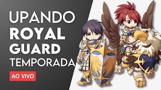 GUIA DE UP ROYAL GUARDRG TEMPORADA History Reborn [upl. by Ellita]