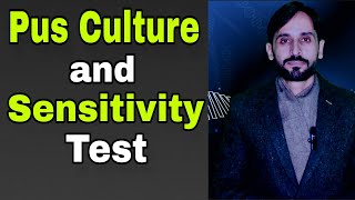 Pus Culture amp Sensitivity Test [upl. by Enawyd]