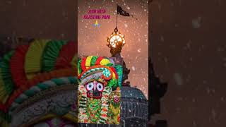 jayjaganntha kalathakurastatus sortsvdoviralsorths song statusvdo vajanam puri rathayatra [upl. by Hewe]