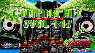 Cantina Mix vol 14 Coleccion pa Suspirar [upl. by Skolnik160]