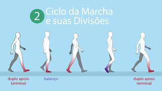 Marcha Normal – ciclos e fases da marcha [upl. by Ahsinel]