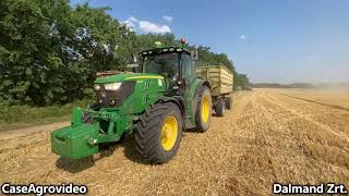 Bonafarm MezőgazdaságDalmand Zrt Középhídvég Őszi búza betakarítása 2022 Wheat harvest [upl. by Yklam790]