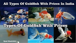 types of Goldfish with prices in India Goldfishtypeswithnames [upl. by Ynnus950]