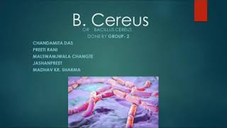 Bacillus cereus in Milk and Milk Products [upl. by Chemaram360]