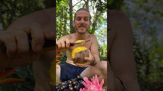 Top 5 Jungle Fruits [upl. by Admama]