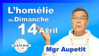 Évangile et homélie du Dimanche 14 Avril  Avec Mgr Aupetit [upl. by Atnoed]