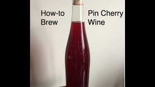 How to Brew Pin Cherry Wine in the Alberta Urban Garden [upl. by Marysa361]