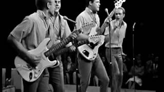 The Beach Boys PapaOomMowMow Live 1964 [upl. by Hurd]