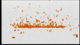 Tot straks na de reclame  Nickelodeon  Versplinterd  2010 nieuw [upl. by Philpot]