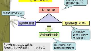 抗菌薬② 気道感染症 [upl. by Silra162]