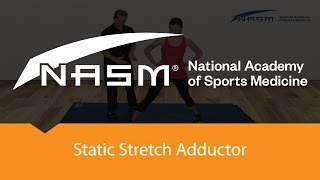 Static Stretch Adductor [upl. by Casady]